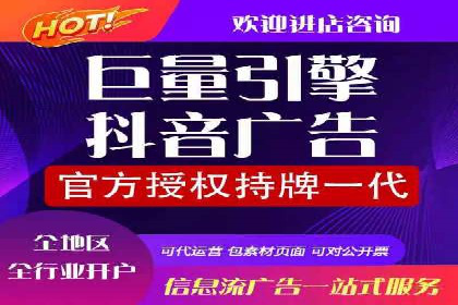 成功SEM服务案例分析报告